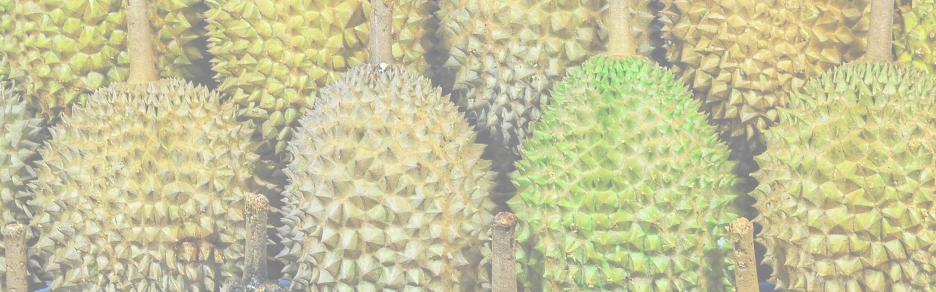  Durian 